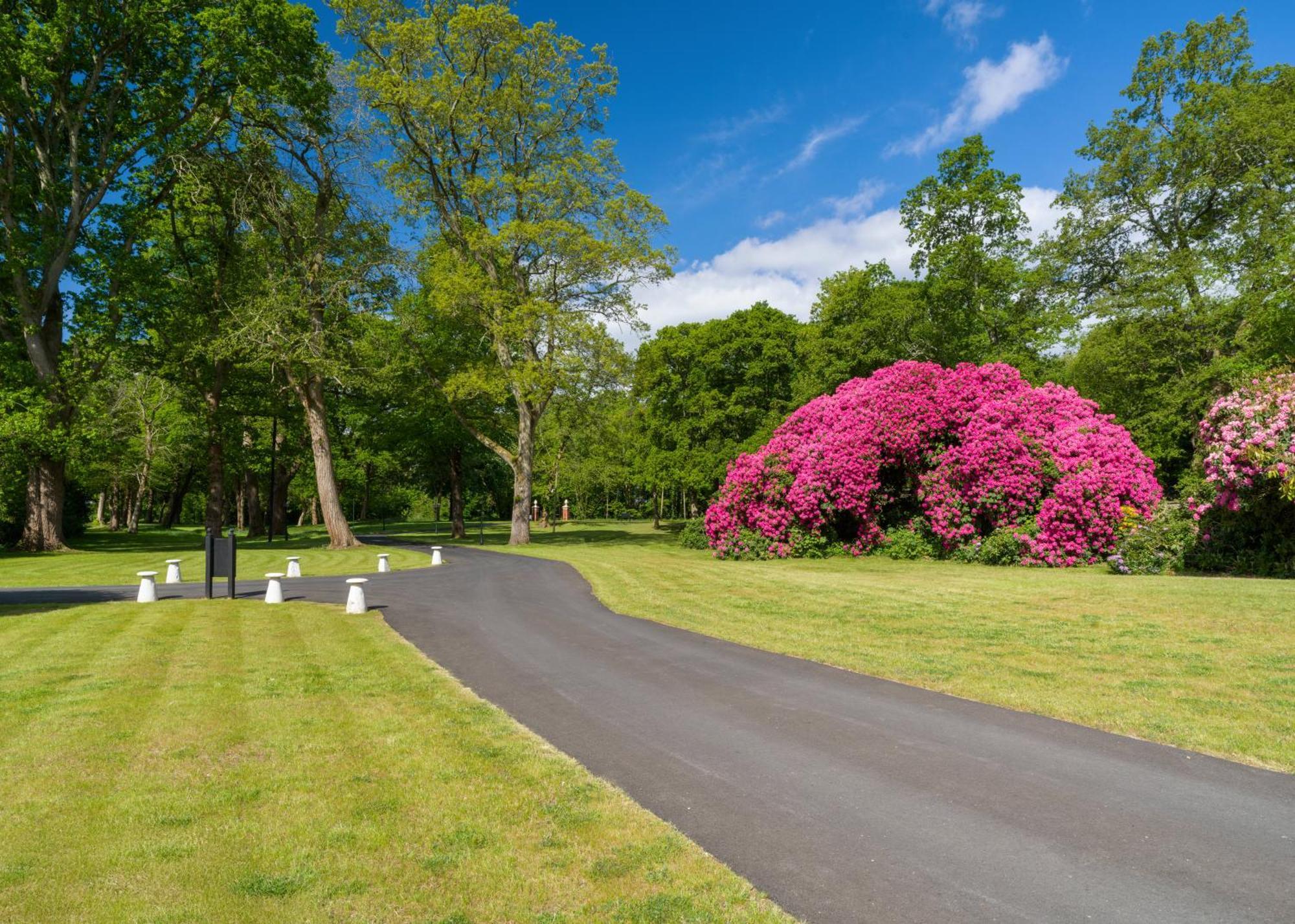 Tyrrells Park Acomodação com café da manhã Ringwood Exterior foto
